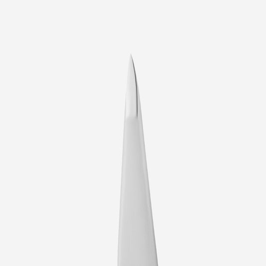 STALEKS EXPERT 10 TYPE 5 Professional eyebrow tweezers point