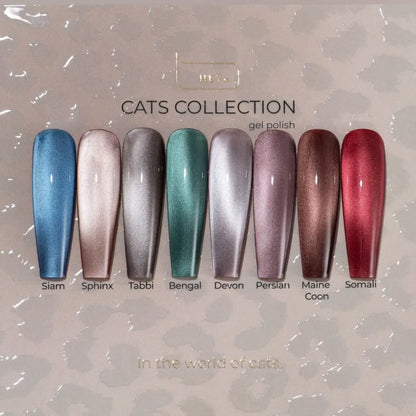 HEYLOVE  Gel Polish Cateye - MAINE COON, 15ml