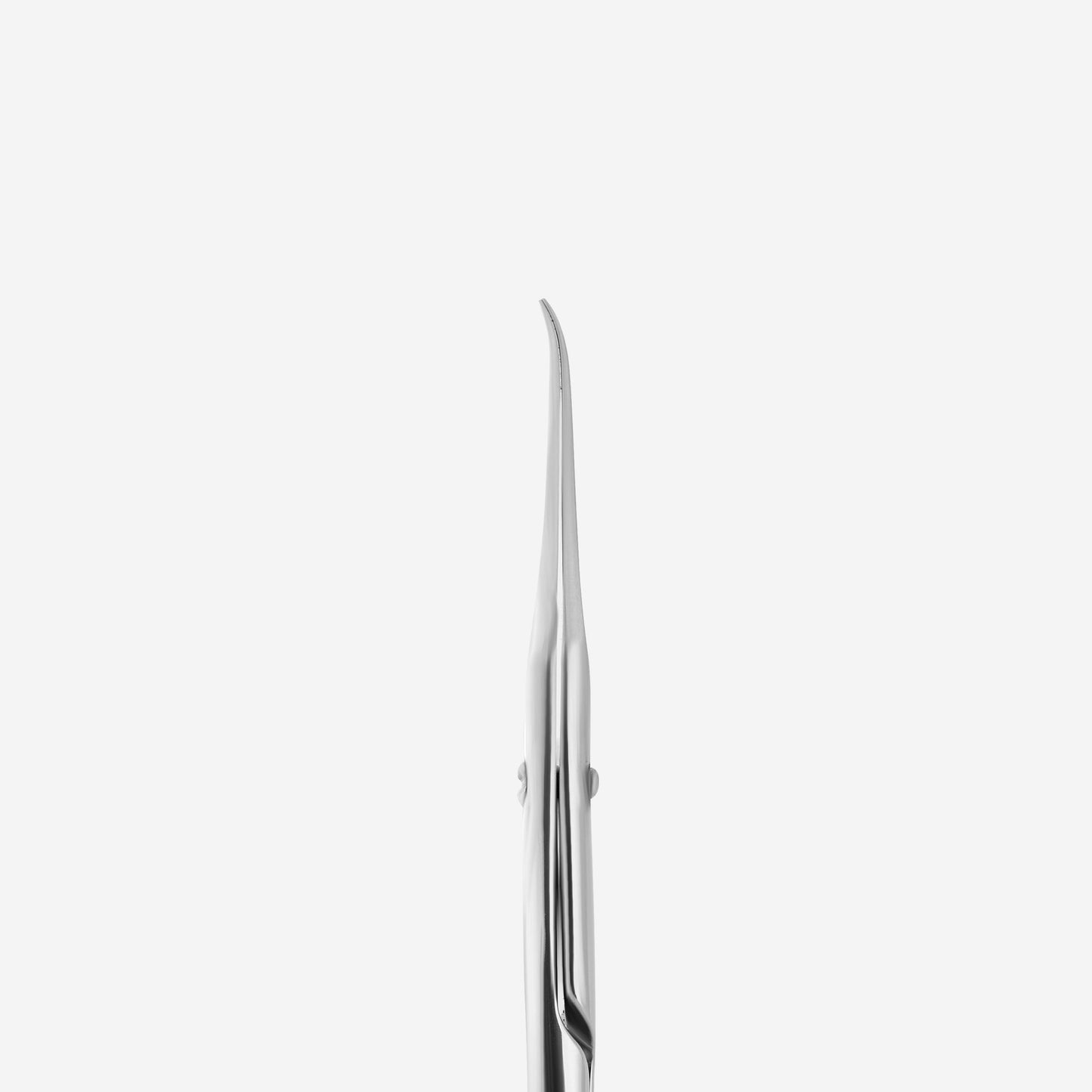 STALEKS EXCLUSIVE 21 TYPE 1 Professional cuticle scissors with hook