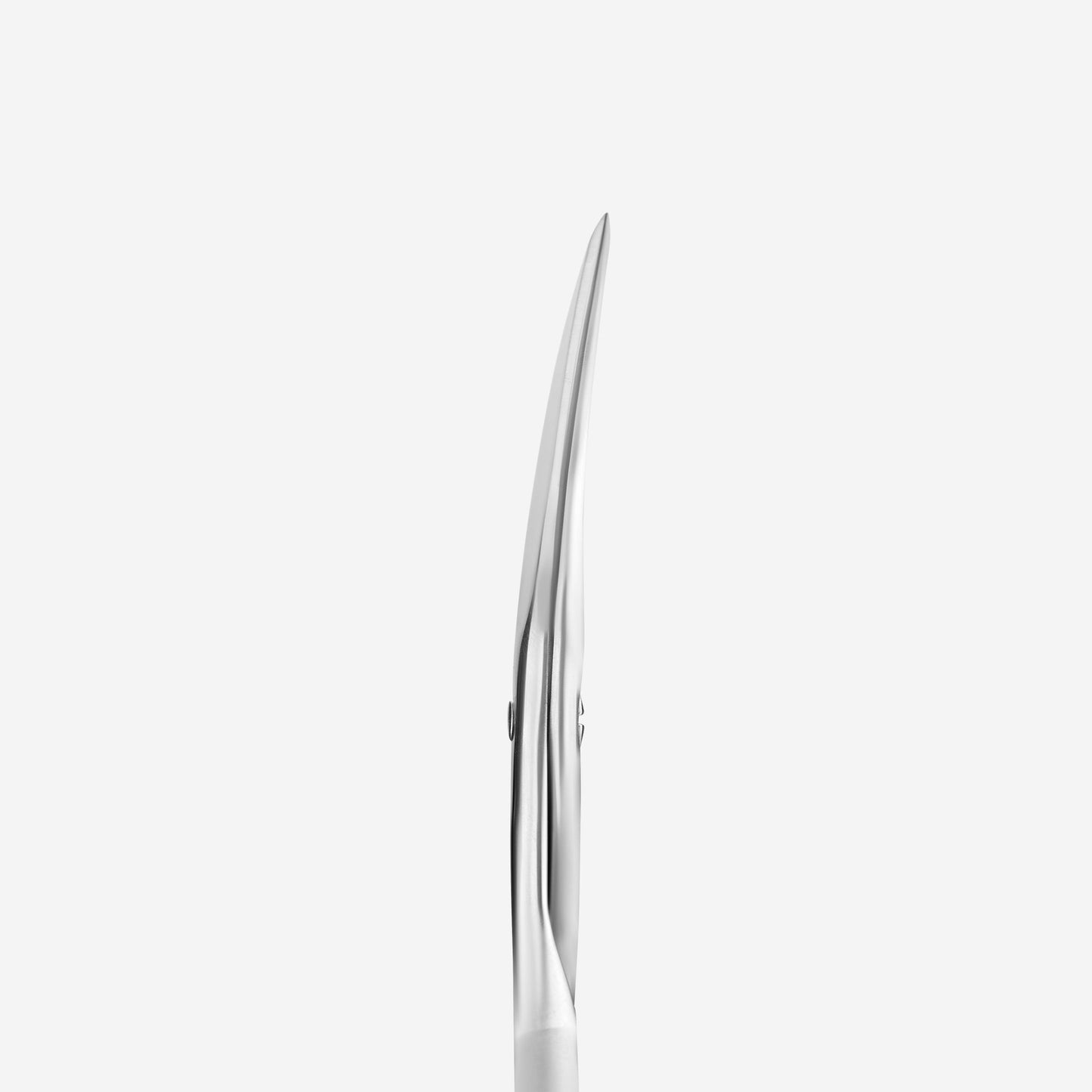 STALEKS BEAUTY & CARE 10 TYPE 2 Matte nail scissors SKU